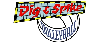 Dig & Spike Volleyball